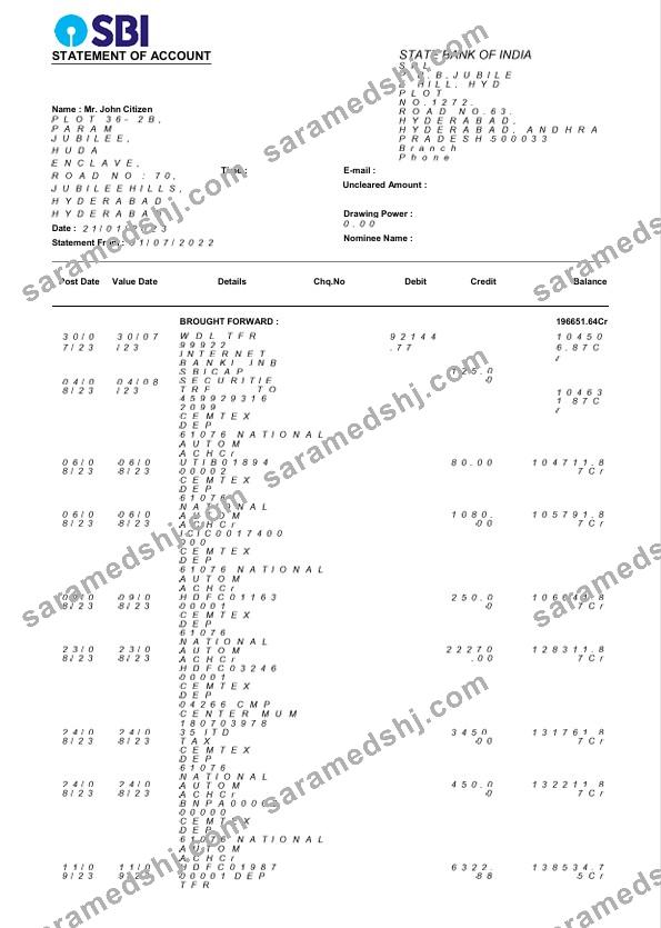 USA State Bank of India bank statement Word and PDF template, 3 pages